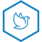 庄闲和网址传动